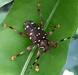 Description de cette image, également commentée ci-après