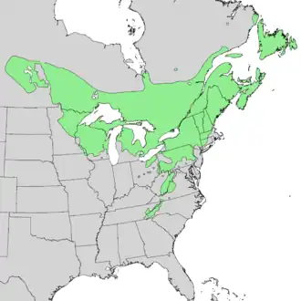 Description de l'image Acer_spicatum_range_map_1.png.