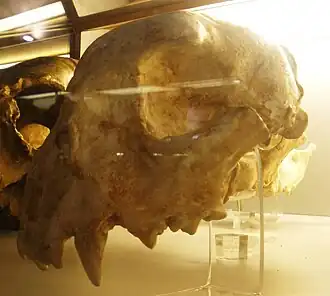 Description de cette image, également commentée ci-après