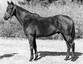 Image illustrative de l’article Ack Ack