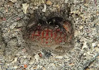 Description de cette image, également commentée ci-après