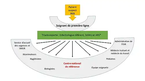 schéma montrant comment le soignant de première ligne s'appuie d'abord sur une triade d'experts composée de l'infectiologue référent de sa région, du SAMU et de l'agence régionale de la santé et ensuite sur la chaîne des intervenants nécessaires