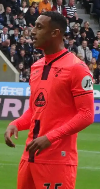 Image illustrative de l’article Adam Idah