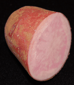 Image illustrative de l’article Adirondack Red