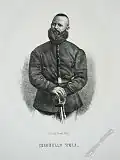 Luigi Wolff&nbsp;(en) (1861).
