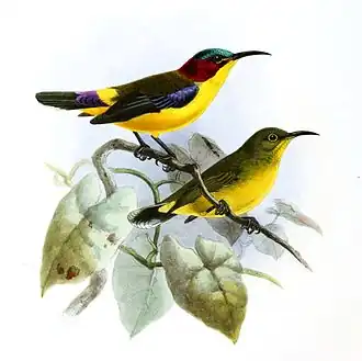 Description de cette image, également commentée ci-après