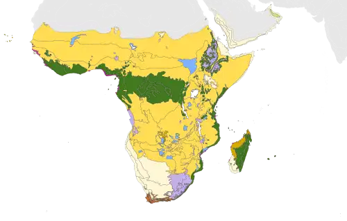 Écozone afrotropicale