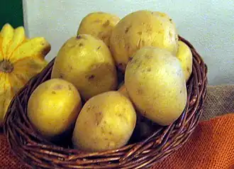 Image illustrative de l’article Agria (pomme de terre)