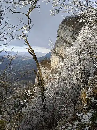 Les falaises de l'aiguille de Chalais.
