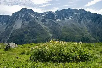 Vue de la dent de Tsalion (au centre à droite), avec l'aiguille de la Tsa à sa droite et, notamment, la pointe des Genevois et la dent de Perroc à sa gauche.
