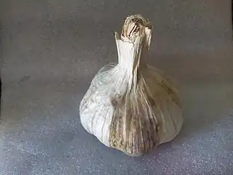 Image illustrative de l’article Ail violet de Cadours