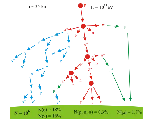 Un arbre logique représentant la production de particules.