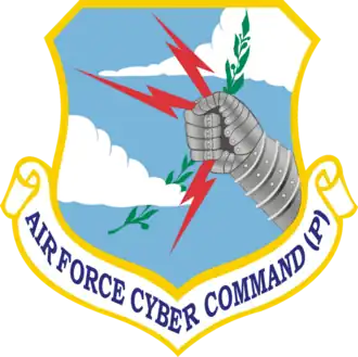 Image illustrative de l’article Air Force Cyber Command