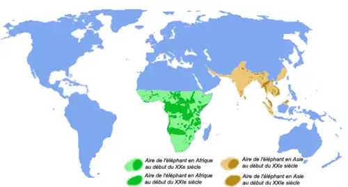 Carte du monde montrant la réduction des populations d'éléphants entre le début du XXe&nbsp;siècle et le début du XXIe : en vert l'aire de répartition de l'éléphant d'Afrique (plus de la moitié inférieure du continent africain au départ, taches restantes couvrant en gros moins d'1/3) et en ocre l'aire de l'éléphant d'Asie (toutes l'Inde et une bonne partie de l'Asie du sud au départ, quelques rares taches restantes)