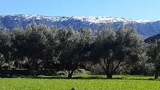 Province de Boulemane