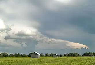 Plaine d'Alajoki à Ilmajoki. La rivière Kyrönjoki coule derrière les arbres du fond.