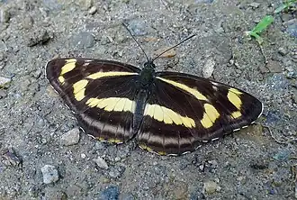 Description de cette image, également commentée ci-après