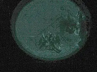 Description de cette image, également commentée ci-après