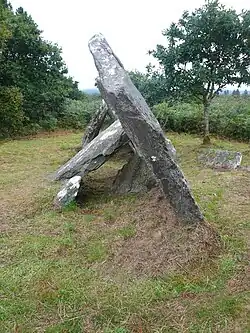 L'allée couverte de Castel-Ruffel (vue longitudinale)
