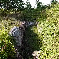 Allée couverte du Blanc Val