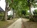 L'allée du château.