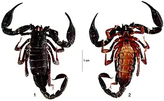 Description de cette image, également commentée ci-après