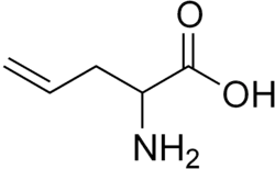 Image illustrative de l’article Allylglycine