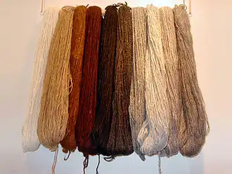 Quelques-unes des couleurs naturelles de l'alpaga (laine filée)