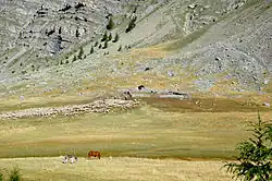 Fond de vallée avec moutons au fond, proche de la limite pelouse-rochers. Un cheval et un âne broutent à mi-distance.