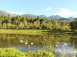 Climat doux, la vallée, Merida.