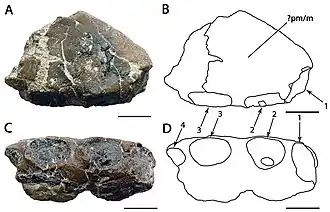 Description de cette image, également commentée ci-après