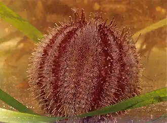 Description de cette image, également commentée ci-après