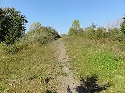 Le terril no&nbsp;21, 3 de Ferfay.