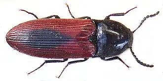 Description de cette image, également commentée ci-après