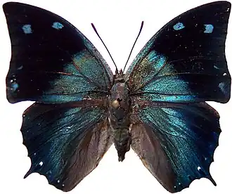 Description de cette image, également commentée ci-après