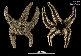 Description de cette image, également commentée ci-après