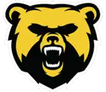 Description de l'image Andenne Bears.png.