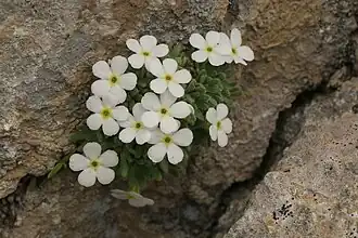 Description de cette image, également commentée ci-après