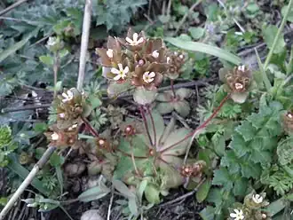 Description de cette image, également commentée ci-après