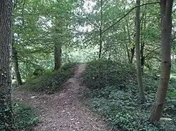 Le tumulus du bois de la Lune.