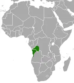 Carte de l'Afrique avec une tache verte à cheval sur l'Angola et le Congo