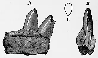 Description de cette image, également commentée ci-après