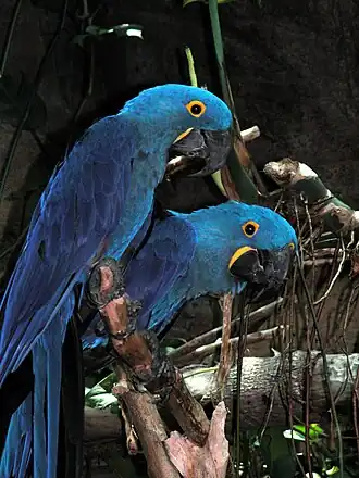 Description de cette image, également commentée ci-après