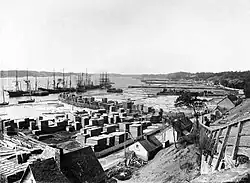 Cargaisons de bois, 1900