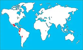 Description de l'image Ara militarisVC-s.jpg.