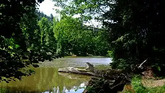 Le lac et l'Arboretum de Pézanin.