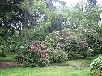 Image illustrative de l’article Arboretum Vilmorin