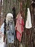 Arbre à clous et vêtements de Stambruges, chêne