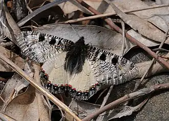 Description de cette image, également commentée ci-après