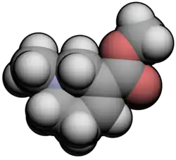 Image illustrative de l’article Arécoline